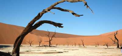 Dead Vlei, Namib desert