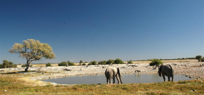 Vodna napajališča parka Etosha