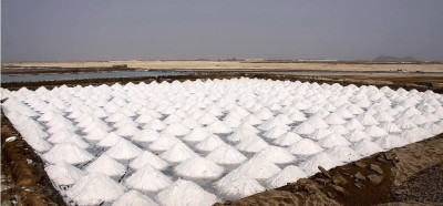 Kupi soli ob slanem jezeru