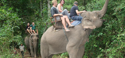 Jahanje neubogljivih slonov :-)