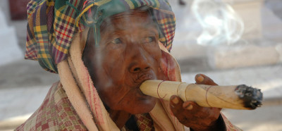 Burmanska koruzna cigara