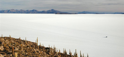 Otok kaktusov in slano jezero Uyuni