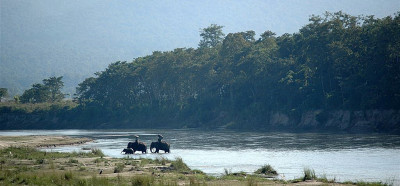 Nacionalni park Chitwan, kraljestvo tigra