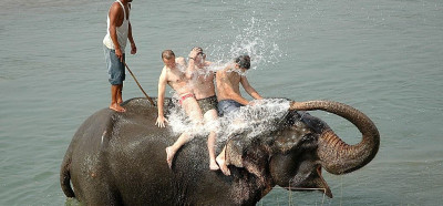 Glavna zabava v Chitwanu je kopanje s sloni