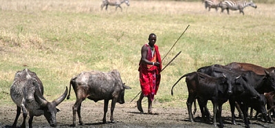 Masai ob cesti