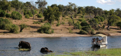 Safari po reki Chobe, Bocvana