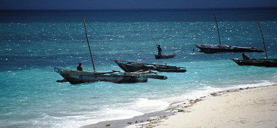 Dhowi (jadrnice) na severu Zanzibarja