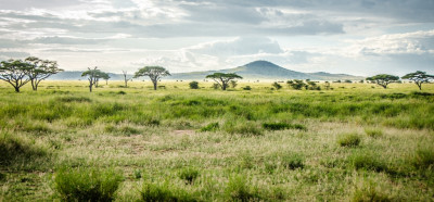 Serengeti je najlepši park na svetu