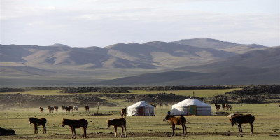 Tipična scena: travniki, geri (nomadski šotori) in živina