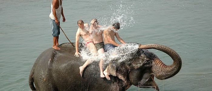 -Glavna zabava v Chitwanu je kopanje s sloni
