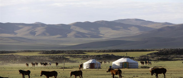 -Tipična scena: travniki, geri (nomadski šotori) in živina